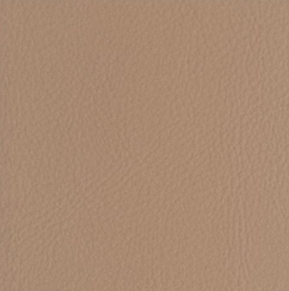 Synthetic Leather upholstery sample, code HY109-22
